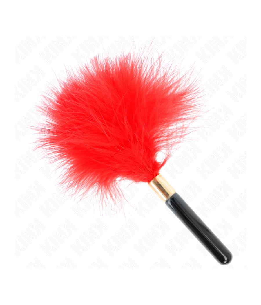 KINK - PLUMES CHACOULES EN...