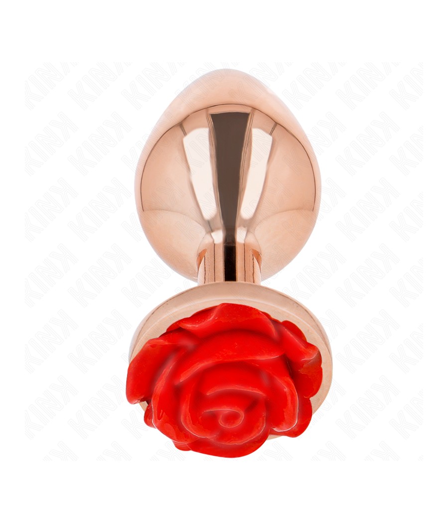 KINK - PLUG ANAL OR ROSE...