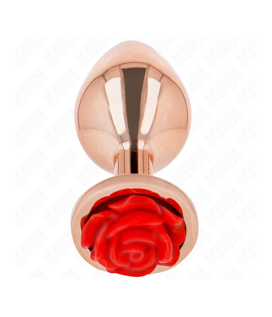 KINK - PLUG ANAL OR ROSE...