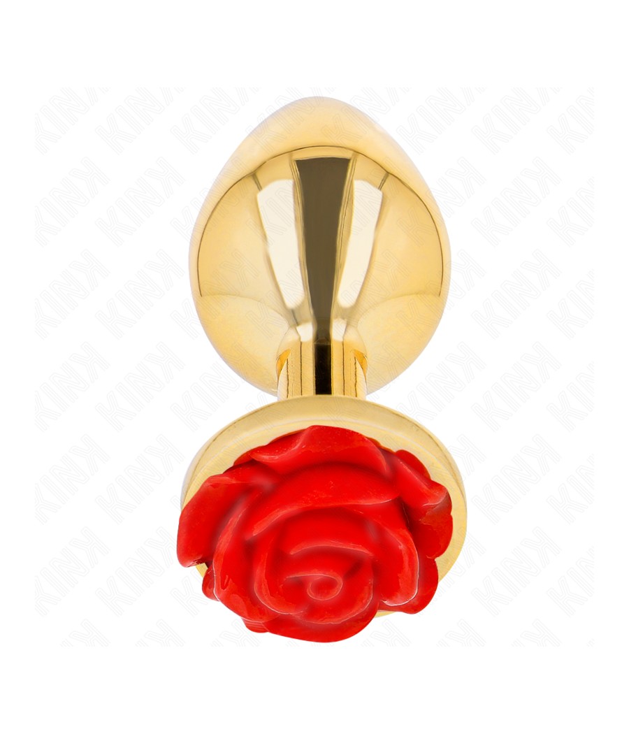 KINK - PLUG ANAL OR ROSE...