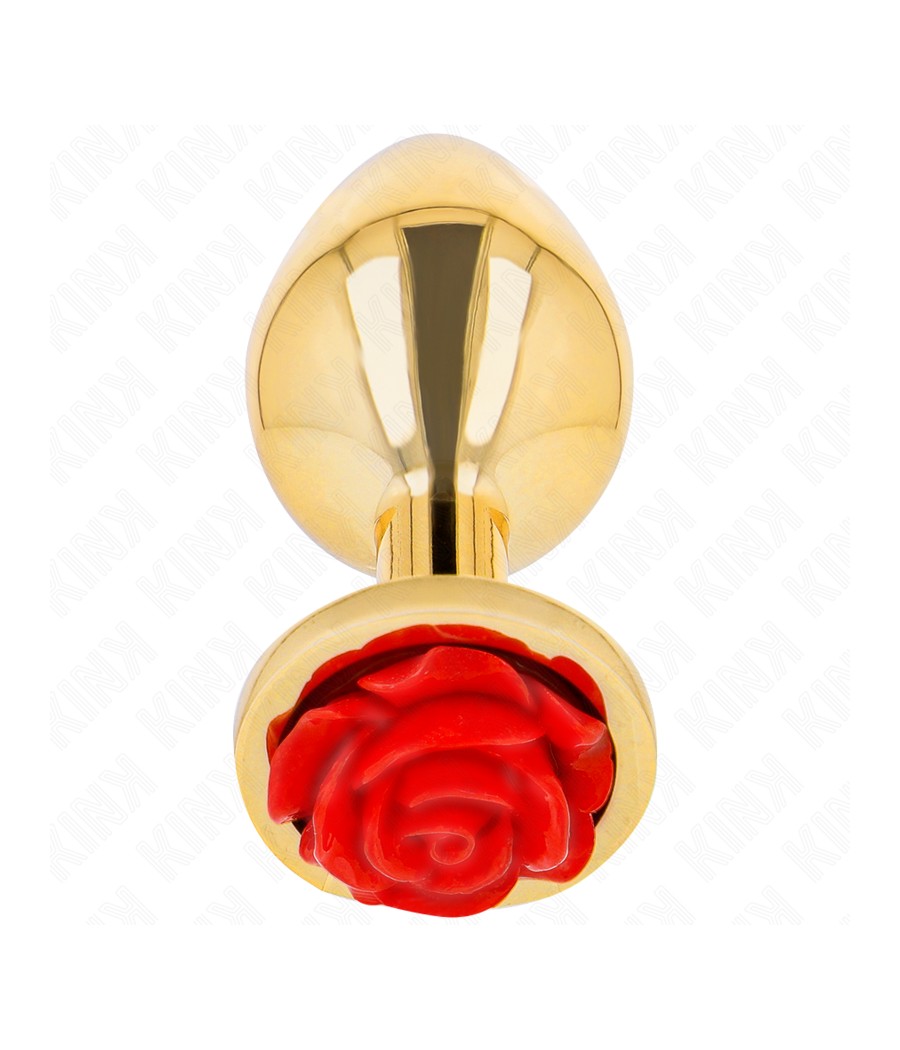 KINK - PLUG ANAL OR ROSE...